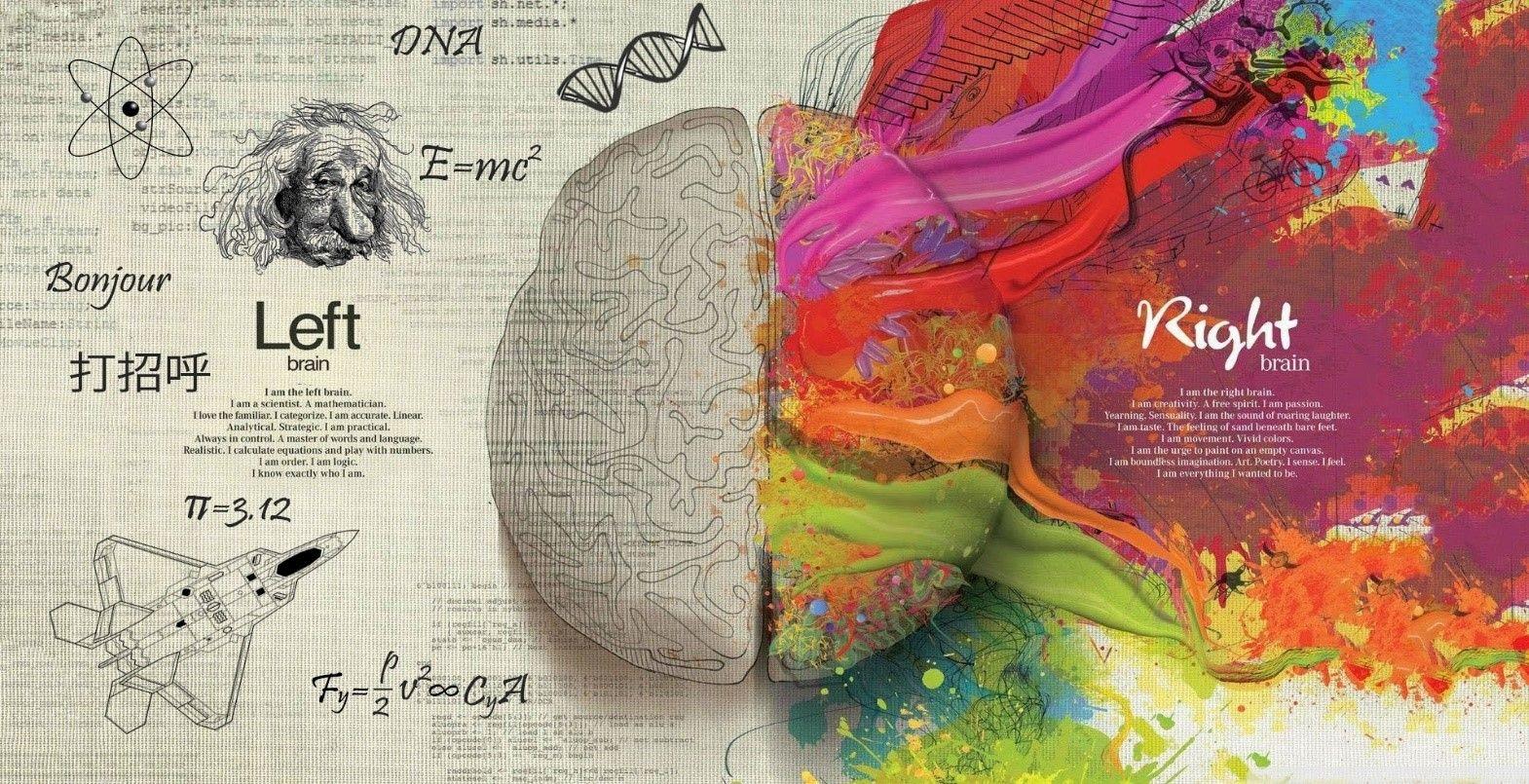 Illustration of two sides of the mind, representing logic and creativity in balance